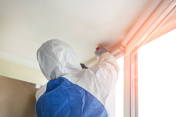 Mold Odor Removal Services in Kempner, TX